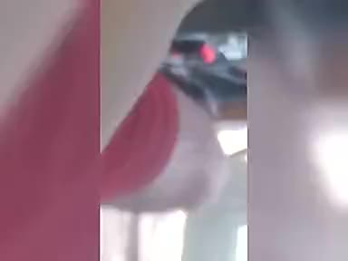 Daddy I want your cock. (sound on)